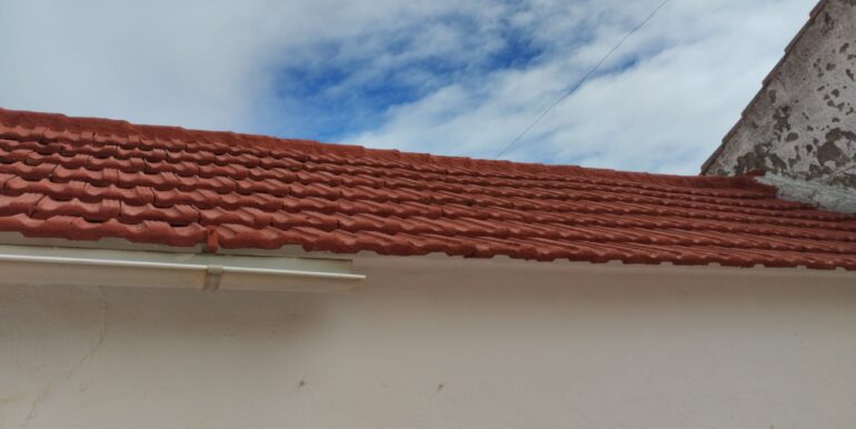 IMG-20250212-WA0038