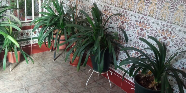 IMG-20250124-WA0023