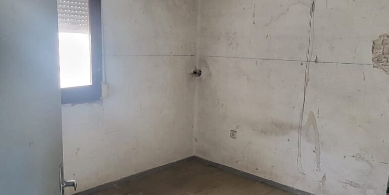 IMG-20241212-WA0018