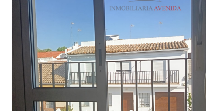 Diseño sin título (16)