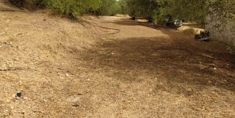 WhatsApp Image 2023-10-26 at 10.39.10