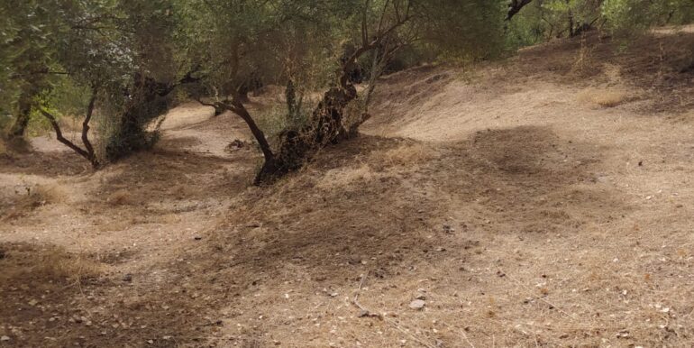 WhatsApp Image 2023-10-26 at 10.39.11 (1)