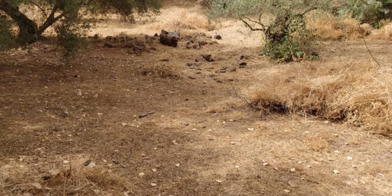 WhatsApp Image 2023-10-26 at 10.39.11 (2)