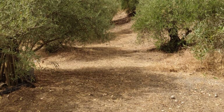 WhatsApp Image 2023-10-26 at 10.39.11 (3)