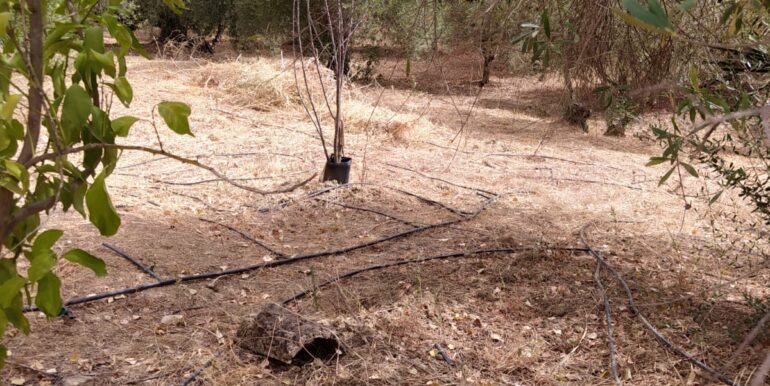 WhatsApp Image 2023-10-26 at 10.39.11 (4)