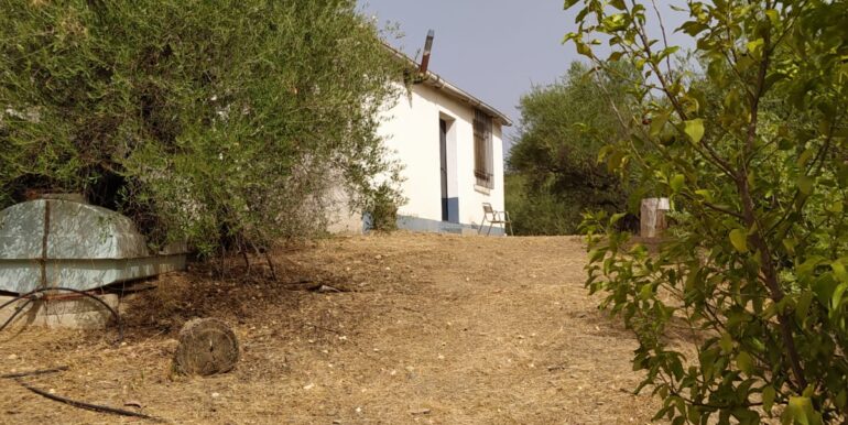 WhatsApp Image 2023-10-26 at 10.39.11