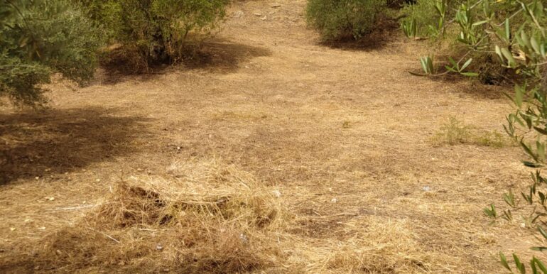 WhatsApp Image 2023-10-26 at 10.39.12 (1)