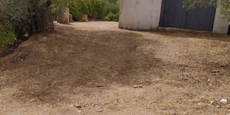 WhatsApp Image 2023-10-26 at 10.39.13 (1)