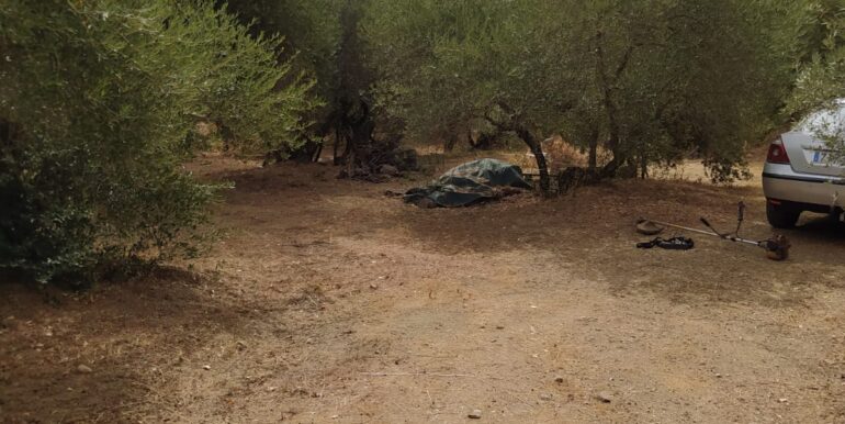 WhatsApp Image 2023-10-26 at 10.39.13