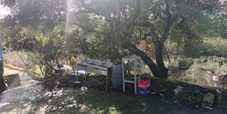 WhatsApp Image 2026-01-26 at 12.57.02 (3)