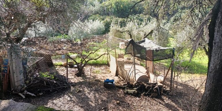 WhatsApp Image 2026-01-26 at 12.57.02 (4)