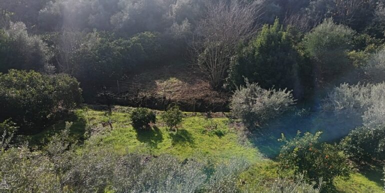 WhatsApp Image 2026-01-26 at 12.57.02 (5)