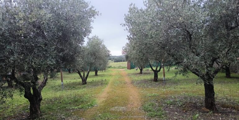 WhatsApp Image 2026-02-23 at 10.16.58 (1)