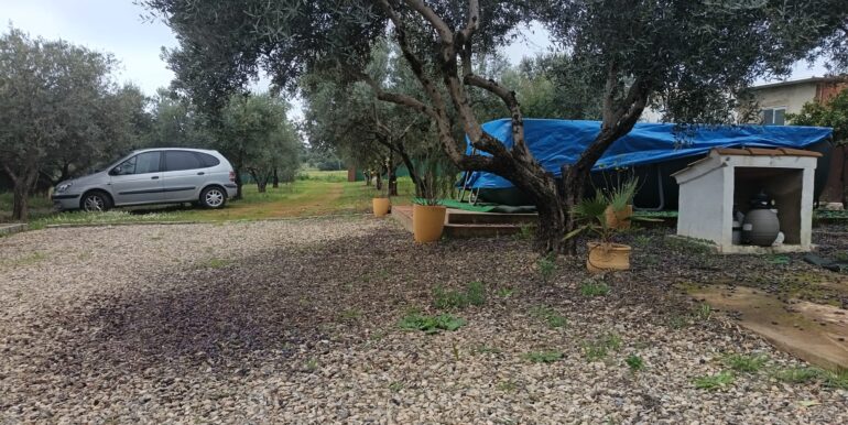 WhatsApp Image 2026-02-23 at 10.16.58 (5)