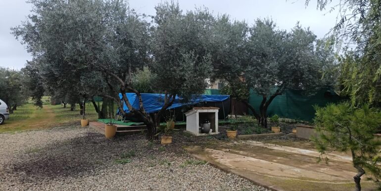 WhatsApp Image 2026-02-23 at 10.16.59 (1)