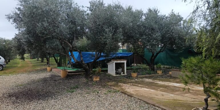 WhatsApp Image 2026-02-23 at 10.16.59