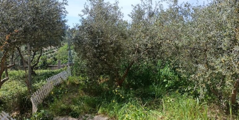 WhatsApp Image 2026-03-23 at 13.05.37 (5)