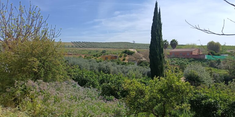 WhatsApp Image 2026-03-23 at 13.05.38 (2)