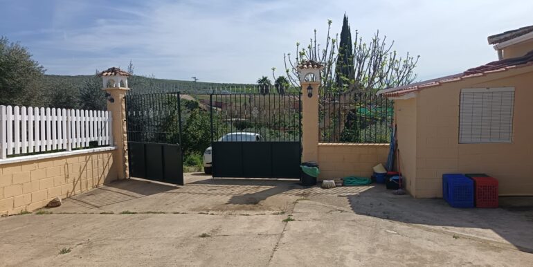 WhatsApp Image 2026-03-23 at 13.05.39 (6)