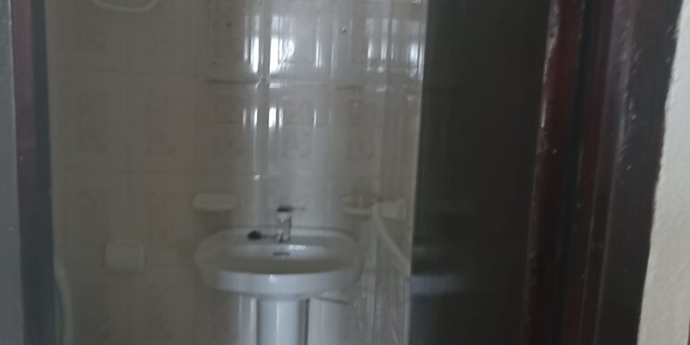 16 borja pavon - bano