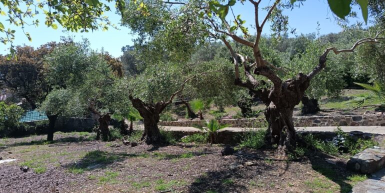 WhatsApp Image 2026-04-08 at 10.20.49 (1)