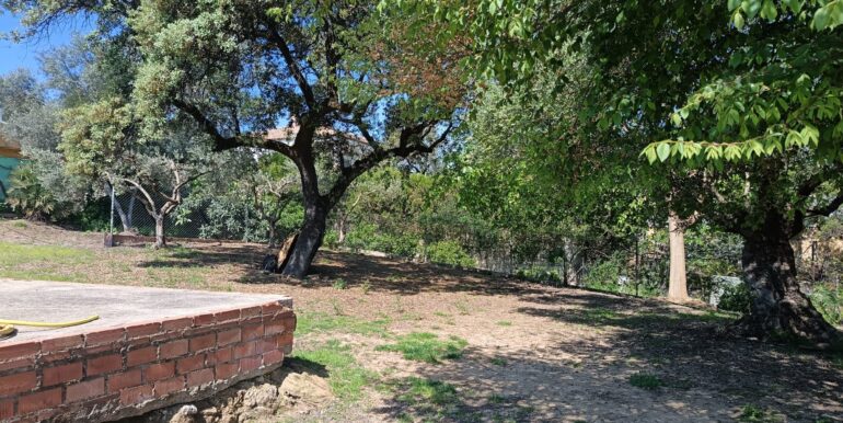 WhatsApp Image 2026-04-08 at 10.21.13