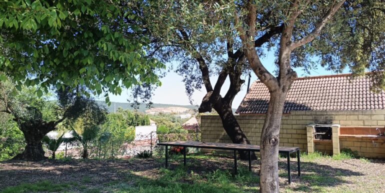 WhatsApp Image 2026-04-08 at 10.21.16 (1)