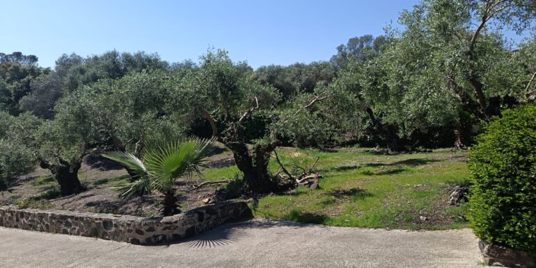 WhatsApp Image 2026-04-08 at 10.21.17 (5)