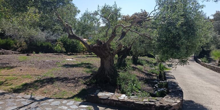 WhatsApp Image 2026-04-08 at 10.21.17 (6)