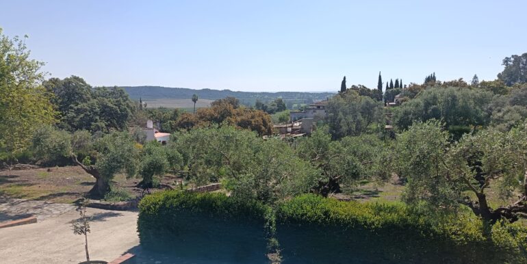 WhatsApp Image 2026-04-08 at 10.21.18 (1)