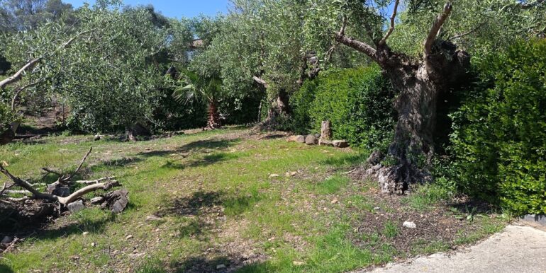 WhatsApp Image 2026-04-08 at 10.21.22 (8)