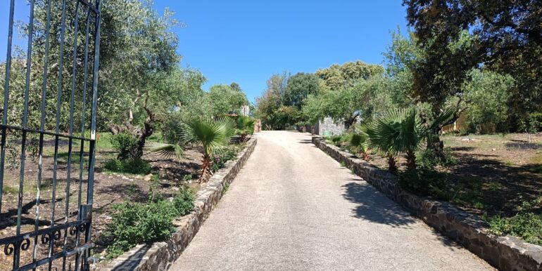 WhatsApp Image 2026-04-08 at 10.21.23 (5)